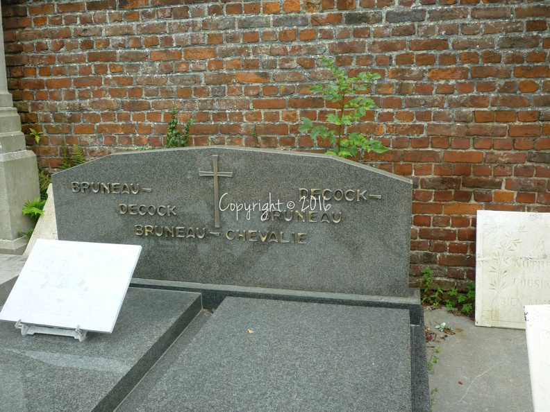 BRUNEAU_Napoléon_Inhumation.JPG
