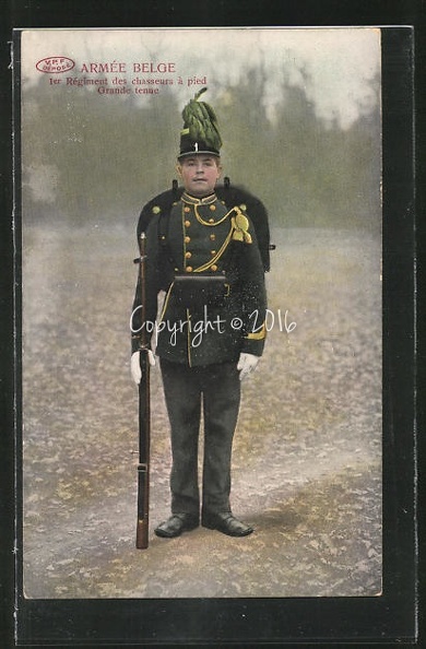 AK-Armee-Belge-Ier-Regiment-des-chasseurs-a-pied-Grand-tenue.jpg