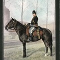 AK-belgischer-Soldat-zu-Pferde-1er-Regiment-des-chasseurs-a-cheval