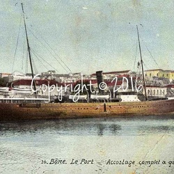 cartes postales d'Algerie
