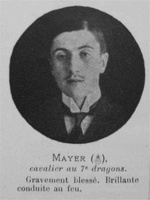 mayer cavalier
