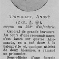 trimoulet andre