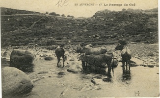 Le-Cantal-Pittoresque (94)