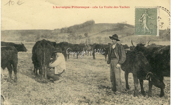 Le-Cantal-Pittoresque (163).jpg