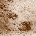 a2 cadavres de soldats allemands a Souain Marne