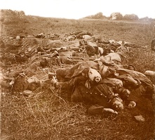 a3 soldats allemands tues - marais dans la Marne