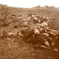 a3 soldats allemands tues - marais dans la Marne