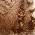 a3 soldats tues dans la Somme effets des gaz