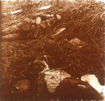 cadavres de soldats Allemands (plateau de Craonne - Aisne)