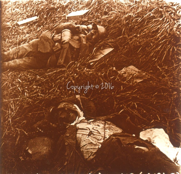 cadavres de soldats Allemands (plateau de Craonne - Aisne).jpg