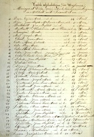 Z 1 - Table des Naissances 1861 1