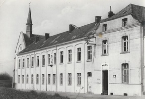 rumes1 (4)