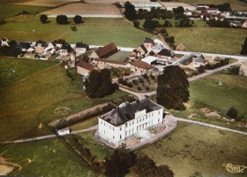 rumes1 (21)