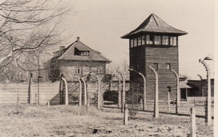 pologne (5)
