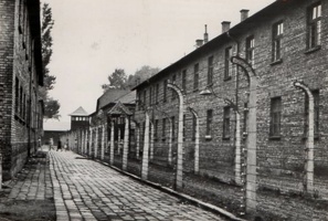 pologne (4)